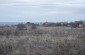 The location of the mass grave where the pharmacist’s family was murdered. They were murdered after the mass shootings carried out on September 17-19, 1941. © Aleksey Kasyanov/Yahad-In Unum