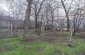 The remaining tombstones at the cemetery located in the Eastern part of Ochakiv. Back then Jews and non-Jews were buried at the same cemetery but in different plots. ©Aleksey Kasyanov/Yahad-In Unum