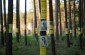 Trees with the names of the victims murdered in Bolshoi Trostenets. ©Jordi Lagoutte/Yahad - In Unum