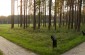 The memorial at the killing site in Bolshoi Trostenets. ©Jordi Lagoutte/Yahad - In Unum