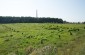 The site of the Maly Trostenets camp. Today there is a large memorial complex. ©Jordi Lagoutte/Yahad - In Unum