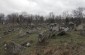 Cementerio judío de Orhei, uno de los más grandes de Besarabia. Situada en una colina y parcialmente cercada, hoy cuenta con varios miles de lápidas. La mayoría de ellas datan del siglo XVIII. © Markel Redondo - Yahad-In Unum