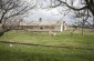 The territory of a former kolkhoze on the outskirts of Brăviceni, where Jewish victims killed in two shootings were buried after their execution. © Emmanuelle Foussat/Yahad - In Unum