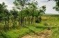 The site of the grave of a Jewish woman on the outskirts of Brăviceni. © Aleksey Kasyanov/Yahad - In Unum