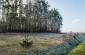 The mass grave of 30-50 Jews shot by during the German occupation on the outskirts of Radomyśl Wielki. The execution site remains without memorial. ©Piotr Malec/Yahad - In Unum