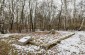 Fosa común de varias docenas de judíos asesinados en Baranów Sandomierski durante la Segunda Guerra Mundial. La sociedad de Baranów Sandomierski financió un monumento en el cementerio judío para conmemorar a las víctimas. ©Piotr Malec/Yahad - In Unum