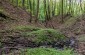 Mass grave of seven Jewish victims from Hadle Szklarskie. ©Piotr Malec/Yahad - In Unum