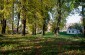 The Jewish cemetery in Sędziszów Małopolski. According to Roman J., born in 1935, the matzevot from the Jewish cemetery were taken to pave the roads next to the local town hall. © Piotr Malec/Yahad - In Unum