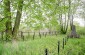 Fosa común en el cementerio judío de Sędziszów Małopolski de más de 400 judíos asesinados por los alemanes en julio de 1942. © Piotr Malec/Yahad - In Unum