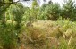 The site of the mass grave located in the Elki forest, 5 km (3 miles) northwest of Kandava. There, on August 8, 1941, the German authorities had 68 Jewish residents of Kandava and the surrounding area shot.    ©Jordi Lagoutte/Yahad – In Unum