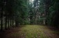 The execution site where German security forces and their Latvian auxiliaries shot about 80 Jews from Pāvilosta, Jūrkalne and Saka on December 4, 1941. The pit is located in the Grīņu dabas nature reserve, located 6 km (4 miles) southeast of Pāvilosta.   