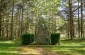 The location of the mass grave, in the Kaziņas forest, where in the autumn of 1941, about 533 Jewish women and children from Ventspils and its surroundings were shot by Latvian militiamen under the supervision of members of the Einsatzkommando A .    ©Jor