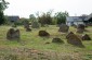 Surviving tombstones at the Jewish cemetery in Antopol. ©Jordi Lagoutte/Yahad – In Unum