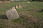 Surviving tombstones at the Jewish cemetery in Antopol. ©Jordi Lagoutte/Yahad – In Unum