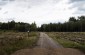 The territory of the former sawmill in Majdan Sieniawski. ©Pawel Szupiluk/Yahad - In Unum