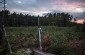 The burial site of a young Jewish girl tortured and killed by Ukrainian policemen near the village of Cewków. ©Pawel Szupiluk/Yahad - In Unum