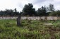 The Jewish cemetery in Wąchock, execution site and burial place of several Jews, as well as a few Poles who were killed for helping the Jews during the German occupation. ©Pawel Szupiluk/Yahad - In Unum