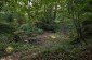 The mass grave of 9-12 Jews, shot by the Germans on September 9, 1943, in the village of Połomia. There is no memorial at the site. ©Jordi Lagoutte/Yahad - In Unum