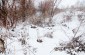 Burial site n°1. Several dozen Jews, who died of starvation and exhaustion in the labor camp in Udych, were buried in the ravine located near the pond. There is no memorial to mark the mass grave. ©David Merlin-Dufey/Yahad - In Unum