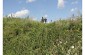 The Yahad research team near the killing site. ©Guillaume Ribot/ Yahad - In Unum