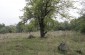 Location of the old Jewish cemetery @ Markel Redondo – Yahad-In Unum