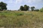 Site where the Jews murdered in the ghetto were buried. The Germans requisitioned local farmers and carts to collect the bodies. ©Nicolas Tkatchouk/Yahad - In Unum