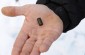 German bullet found at the execution site © Erez Lichtfeld – Yahad – In Unum