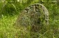 The Jewish cemetery in Pohost. ©Jethro Massey/Yahad - In Unum