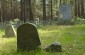 The old Jewish cemetery in Krasnaya Sloboda. ©Jethro Massey/Yahad - In Unum