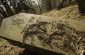 The ancient Jewish cemetery in Vilkija © Cristian Monterroso/Yahad - In Unum