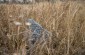 The abandoned mass graves at the Jewish cemetery of Myrhorod. © Kate Kornberg/Yahad-In Unum