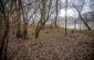 The execution site of over 50 Jews from Makoshyne © Kate Kornberg/Yahad-In Unum