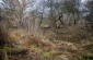 The execution site of about 20 local Jews (Killing site n°2) © Kate Kornberg/Yahad-In Unum