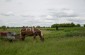 Local ambiance in Zagnitkiv. The carts still remain the principal means of transport. © Jordi Lagoutte/Yahad-In Unum