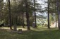 Jewish cemetery in Gorlice ©Victoria Bahr - Yahad-In Unum