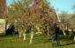 Autumn ambiance in Kražiai © Kate Kornberg/Yahad - In Unum