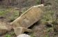 The abandoned Jewish cemetery in Goshcha© Aleksey Kasyanov/ Yahad- In Unum