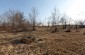 The execution site of about 50-60 Jews murdered in 1941 ©Victoria Bahr/Yahad-in Unum