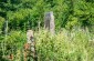 At this Jewish cemetery the villager buried the bodies of the killed Jews. There is no monument on their grave. © Kate Kornberg/Yahad-In Unum