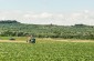 Local ambiance. People working in the fields. ©Aleksey Kasyanov/Yahad-In Unum