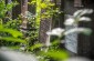 Jewish cemetery in Khotyn© Kate Kornberg/Yahad-In Unum