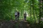 The execution site of Jews from Kolinkivtsi is located in the forest.  ©Kate Kornberg/Yahad-In Unum