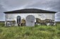 The Jews were confined in this building before being executed © Cristian Monterroso  /Yahad-In Unum