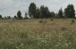 An ancient Jewish cemetery located on a small mound in a field outside the village. ©Jethro Massey/Yahad - In Unum