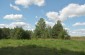 Circa. 2,000 Jews were murdered at this location, in pit dug in a swamp. The execution site located is 30m behind the monument. ©Jethro Massey/Yahad - In Unum