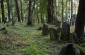 The Jewish Cemetery in Lesko. There are two mass graves as there were two shootings. Firstly, they shot the elder and sick Jews in 1941, soon after the Germans entered the city. Afterwards they shot all the rest. © Freddy Murphy/ Yahad-In Unum