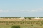 The ruins of the kolkhozes from the Jewish agricultural colony Munus Yevreyskiy © Aleksey Kasyanov  /Yahad-In Unum