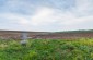 The execution site of about 10,000 Jews.  © Omar Gonzalez/Yahad-In Unum