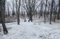 The execution site, located in the Sukhoy ravine, near to the airfield. According to the monument, 25,000 Jews from Uman were murdered here. © David Merlin-Dufey/Yahad-In Unum