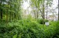 "Old Jewish cemetery (first half of the 18th century – 1942) – the burial site for many generations of the Jews from Wloszczowa and surroundings. The location of Nazi German crimes in the years 1939-1942.” © Piotr Malec/Yahad-In Unum